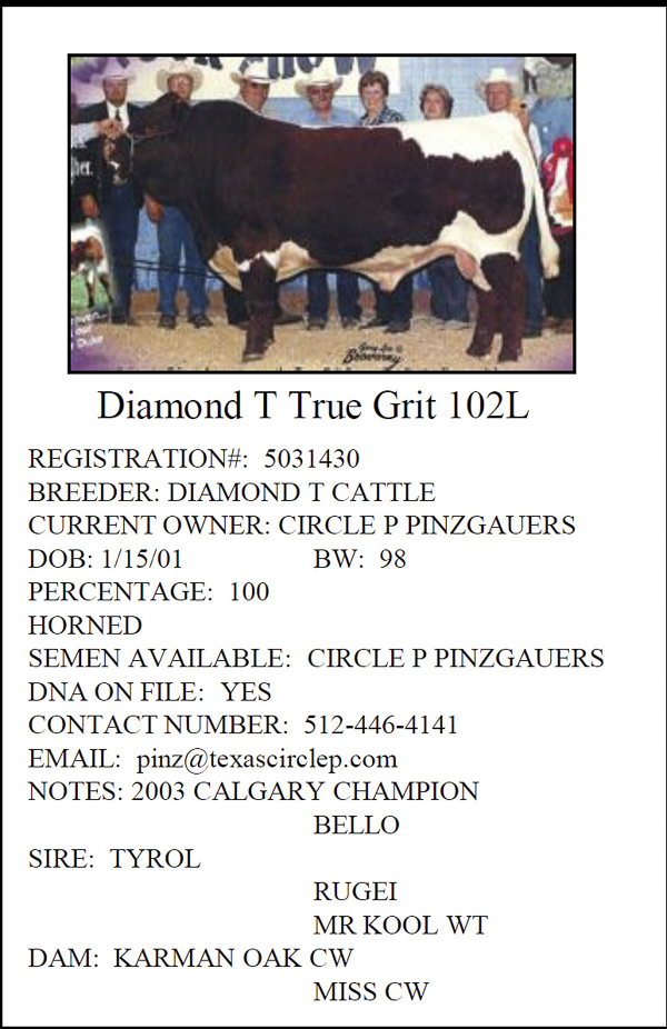 Diamond T True Grit Pinzgauer