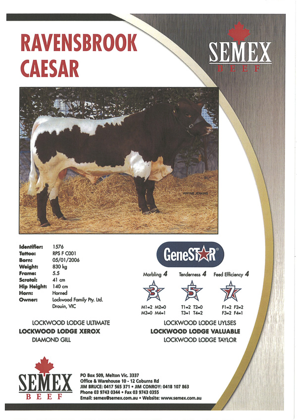Ravensbrook Caesar